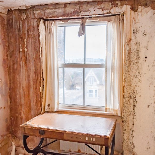 Causes of Mould in Flats
