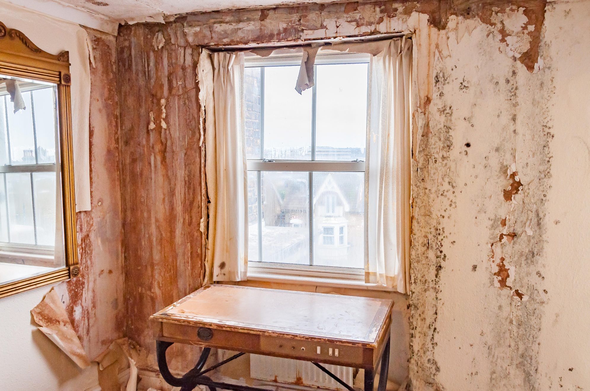 Causes of Mould in Flats